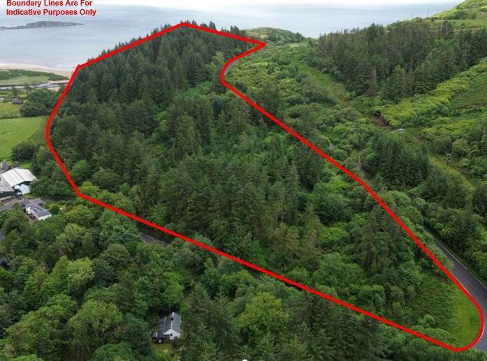 Dippen Wood, Carradale, Campbeltown, Argyll And Bute